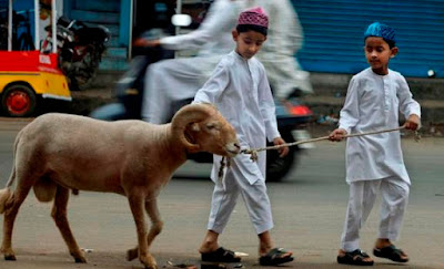 5 Manfaat Melaksanakan Ibadah Qurban Setiap Tahun Ibadah Qurban